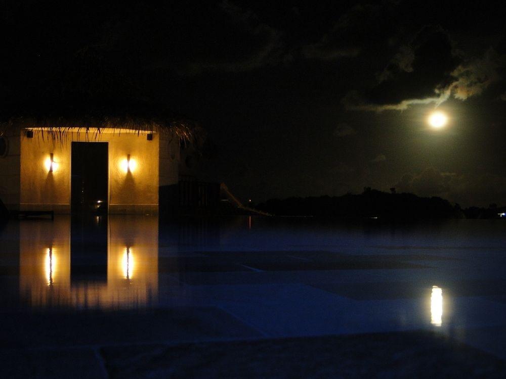 Gungaporanga (adults Only)
